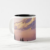 USA, Oregon, Deschutes National Forest, The Zweifarbige Tasse (Vorderseite Links)