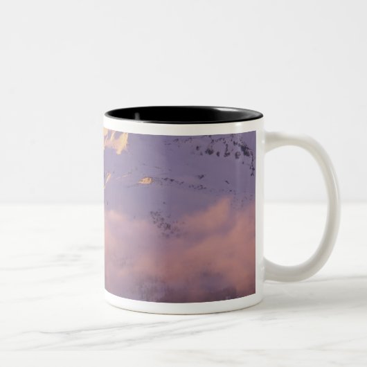 USA, Oregon, Deschutes National Forest, The Zweifarbige Tasse (Rechts)