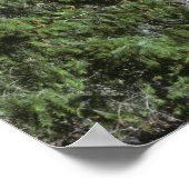 USA, Oregon Eine Abholung über dem Poster (Ecke)