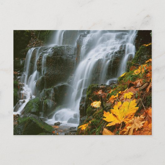 USA, Oregon, Fairy Falls, Columbia River Gorge Postkarte (Vorderseite)