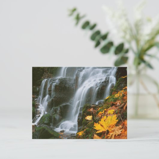 USA, Oregon, Fairy Falls, Columbia River Gorge Postkarte (Stehend Vorderseite)