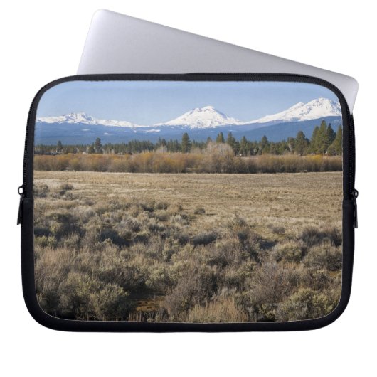 USA, Oregon, Feld mit Schnee bedeckten Kaskade Laptopschutzhülle (Vorderseite)