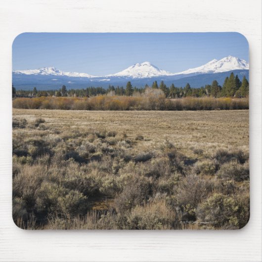 USA, Oregon, Feld mit Schnee bedeckten Kaskade Mousepad (Vorne)