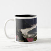 USA, Oregon, Florenz. Heceta Head Lighthouse Zweifarbige Tasse (Links)