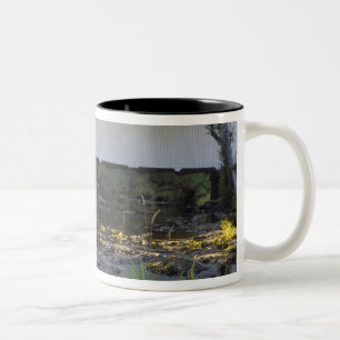 USA, Oregon. Harris gedeckte Brücke über Marys Zweifarbige Tasse