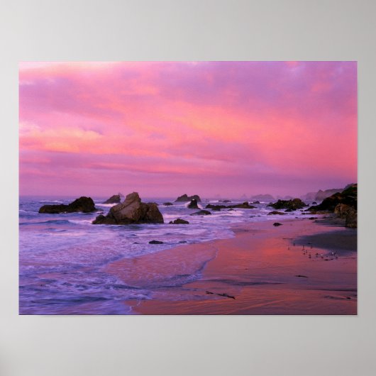 USA, Oregon, Harris Staat Beach, Brookings. Poster (Vorne)