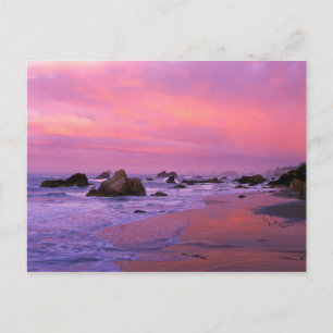 USA, Oregon, Harris Staat Beach, Brookings. Postkarte