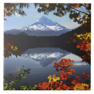 USA, Oregon, Hood National Forest. Fliese