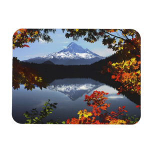 USA, Oregon, Hood National Forest. Magnet