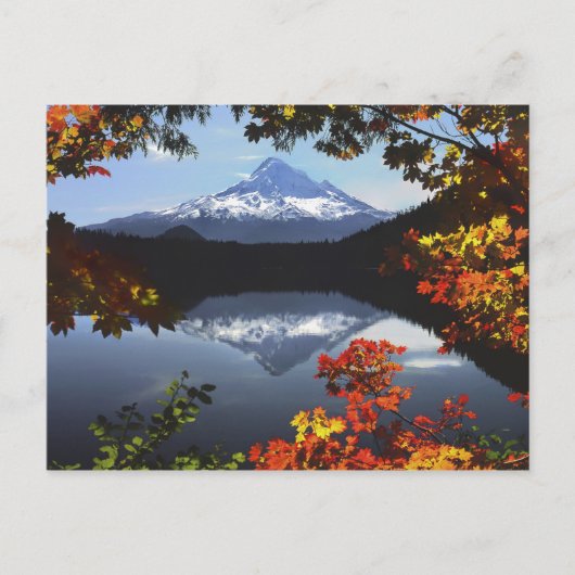 USA, Oregon, Hood National Forest. Postkarte (Vorderseite)