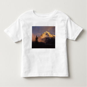 USA, Oregon, Hood National Forest. Walzen Kleinkind T-shirt