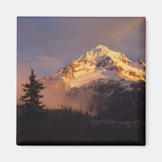 USA, Oregon, Hood National Forest. Walzen Magnet (Vorne)