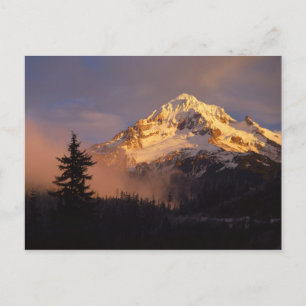 USA, Oregon, Hood National Forest. Walzen Postkarte