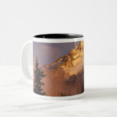 USA, Oregon, Hood National Forest. Walzen Zweifarbige Tasse (Vorderseite Links)