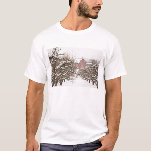 USA, Oregon, Hood River. Schneebedeckter Apfel T-Shirt (Vorderseite)