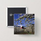 USA, Oregon, Hood River Valley, Pear orchard Button (Vorne & Hinten)