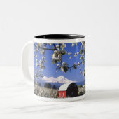 USA, Oregon, Hood River Valley, Pear orchard Zweifarbige Tasse (Vorderseite Links)