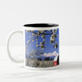 USA, Oregon, Hood River Valley, Pear orchard Zweifarbige Tasse (Links)