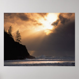 USA, Oregon, in der Nähe von Oswald West Staat Par Poster