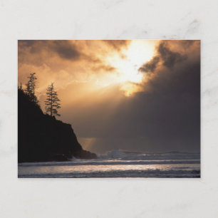 USA, Oregon, in der Nähe von Oswald West Staat Par Postkarte