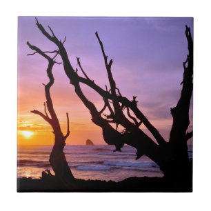 USA, Oregon, Kap Meares. Sonnenuntergang Fliese