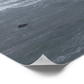 USA, Oregon, Küste Poster (Ecke)