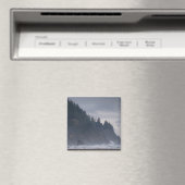 USA, Oregon, Landkreis Tillamook, Wald an der Küst Magnet (In Situ (Geschirrspüler))