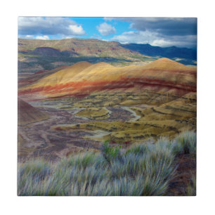 USA, Oregon. Landschaft der Painted Hills Fliese