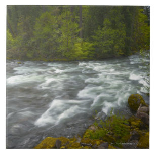 USA, Oregon, landschaftliche Ansicht von Santiam Fliese