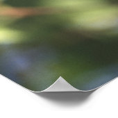 USA, Oregon Männlicher Western Bluebird Poster (Ecke)