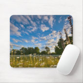 USA, Oregon, Marion County, Wiese mit Mousepad (Mit Mouse)