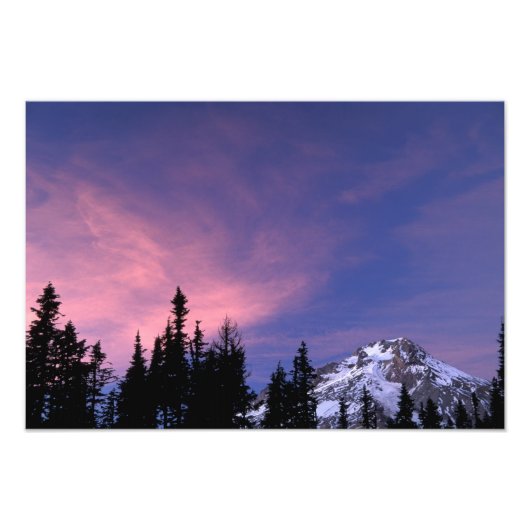 USA, Oregon, Monte Hood aus Timberline Fotodruck (Vorne)