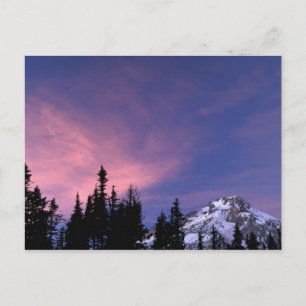 USA, Oregon, Monte Hood aus Timberline Postkarte