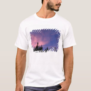 USA, Oregon, Mount Hood aus Timberline T-Shirt