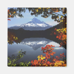 USA, Oregon, Mt. Hood National Forest. Magnet