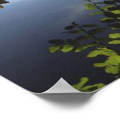 USA, Oregon, Mt. Hood National Forest. Poster (Ecke)