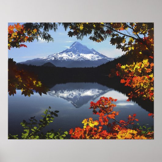 USA, Oregon, Mt. Hood National Forest. Poster (Vorne)