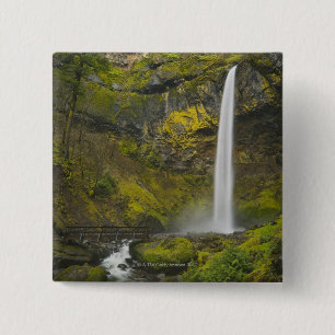 USA, Oregon, Multnomah County, Elowah Fälle Button