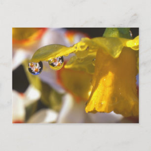 USA, Oregon, Multnomah County, Nahaufnahme von Postkarte