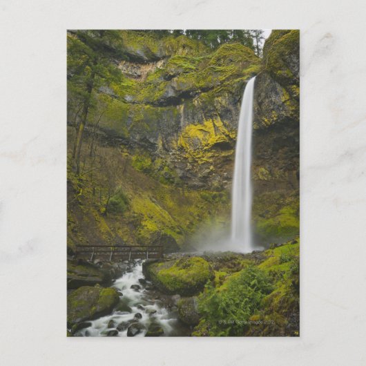 USA, Oregon, Multnomah Landkreis, Elowah Falls Postkarte (Vorderseite)