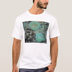 USA, Oregon, Neptun SP. Juwel-farbene See T-Shirt