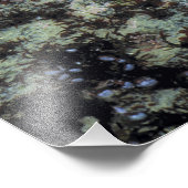 USA, Oregon, Nepture SP. Juwelenfarbenes Meer Fotodruck (Ecke)