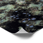 USA, Oregon, Nepture SP. Juwelenfarbenes Meer Poster (Ecke)