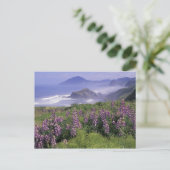 USA, Oregon, Nesika Beach. Lupine und Oregon Postkarte (Stehend Vorderseite)