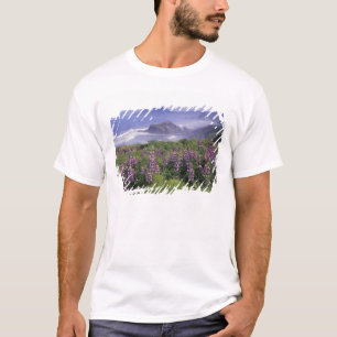 USA, Oregon, Nesika Beach. Lupine und Oregon T-Shirt