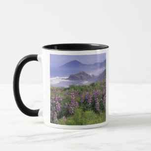USA, Oregon, Nesika Beach. Lupine und Oregon Tasse