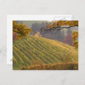 USA, Oregon, Newberg. Weinberg im Herbst. Postkarte (Vorne/Hinten)