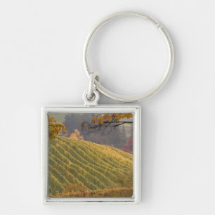USA, Oregon, Newberg. Weinberg im Herbst. Schlüsselanhänger