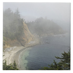 USA, Oregon, Ocean View, Cape Arago, Bandon Fliese