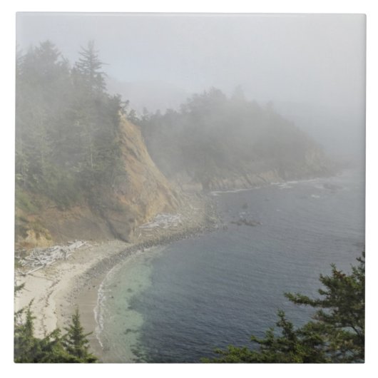 USA, Oregon, Ocean View, Cape Arago, Bandon Fliese (Vorderseite)